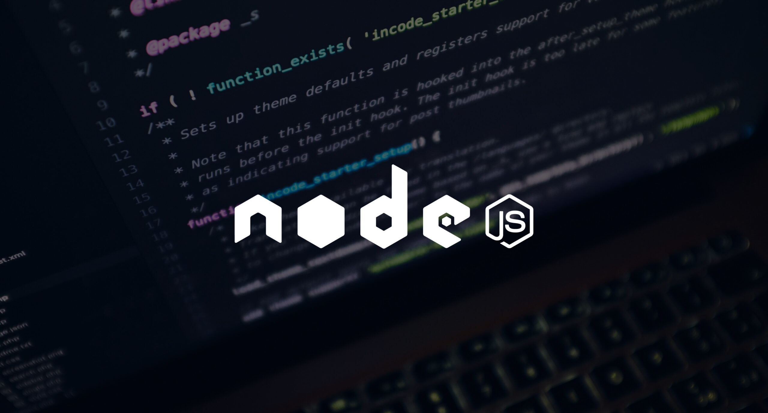software development